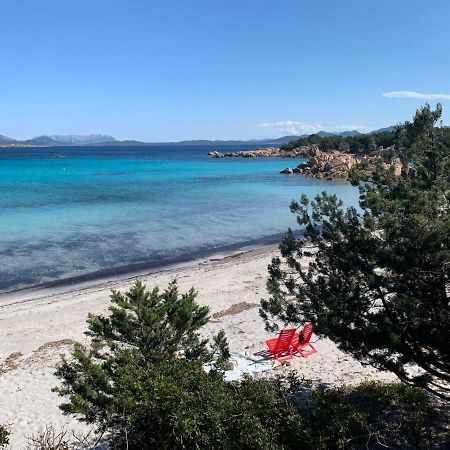 Appartamento Porto Rotondo Rudargia מראה חיצוני תמונה