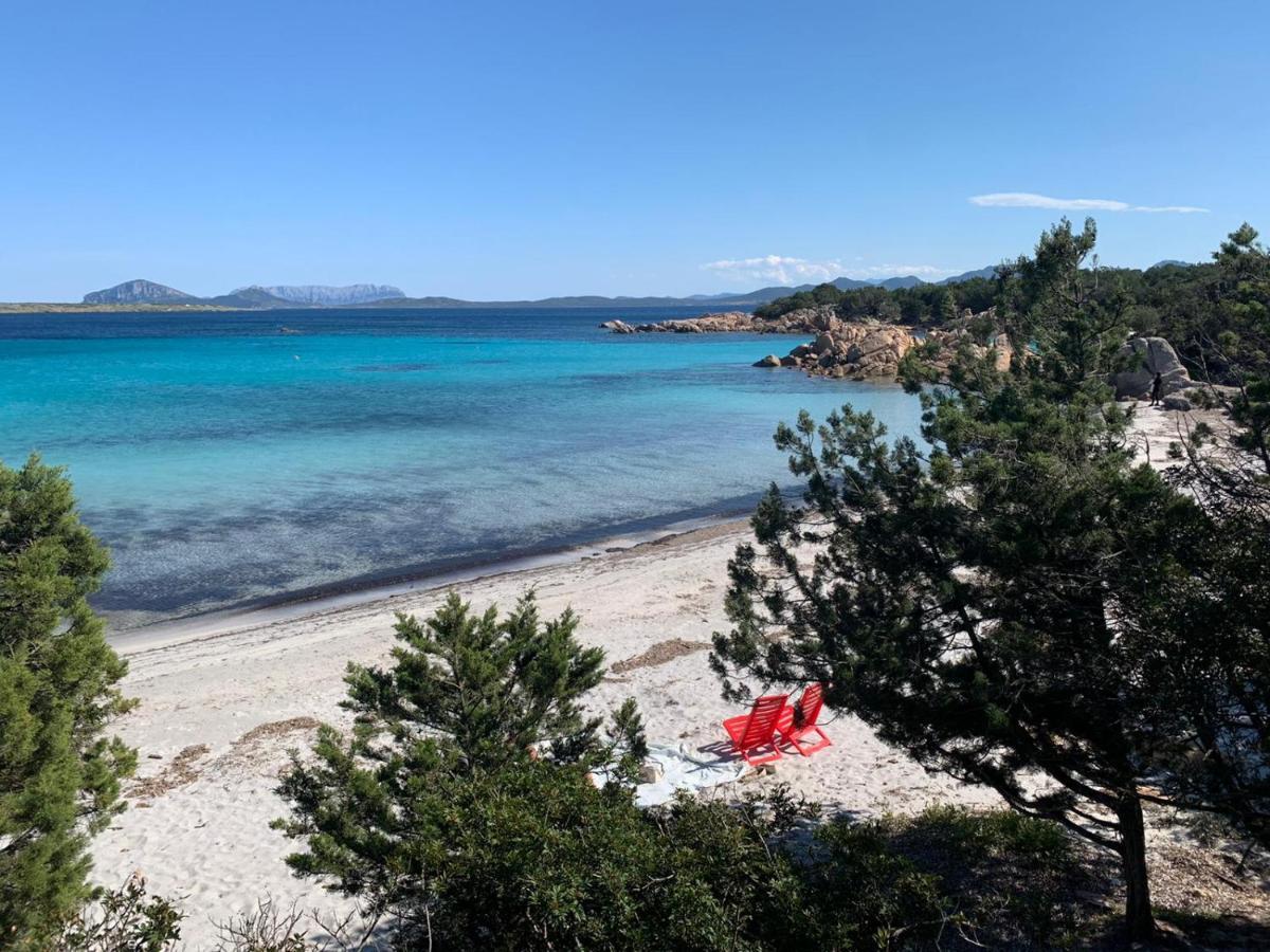 Appartamento Porto Rotondo Rudargia מראה חיצוני תמונה